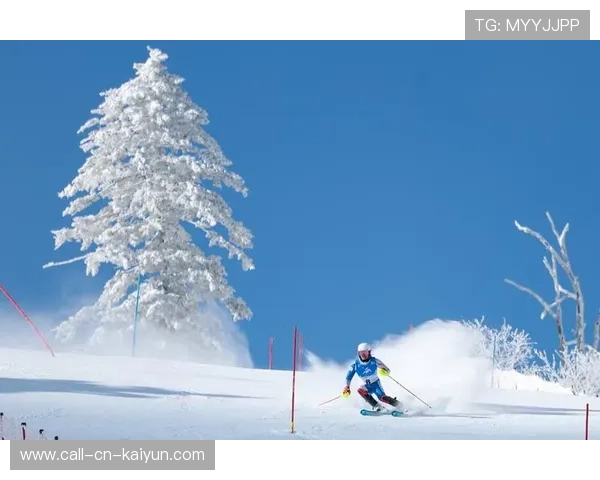 高山滑雪赛事引入绿色能源供电试点,高山滑雪全能比赛规则